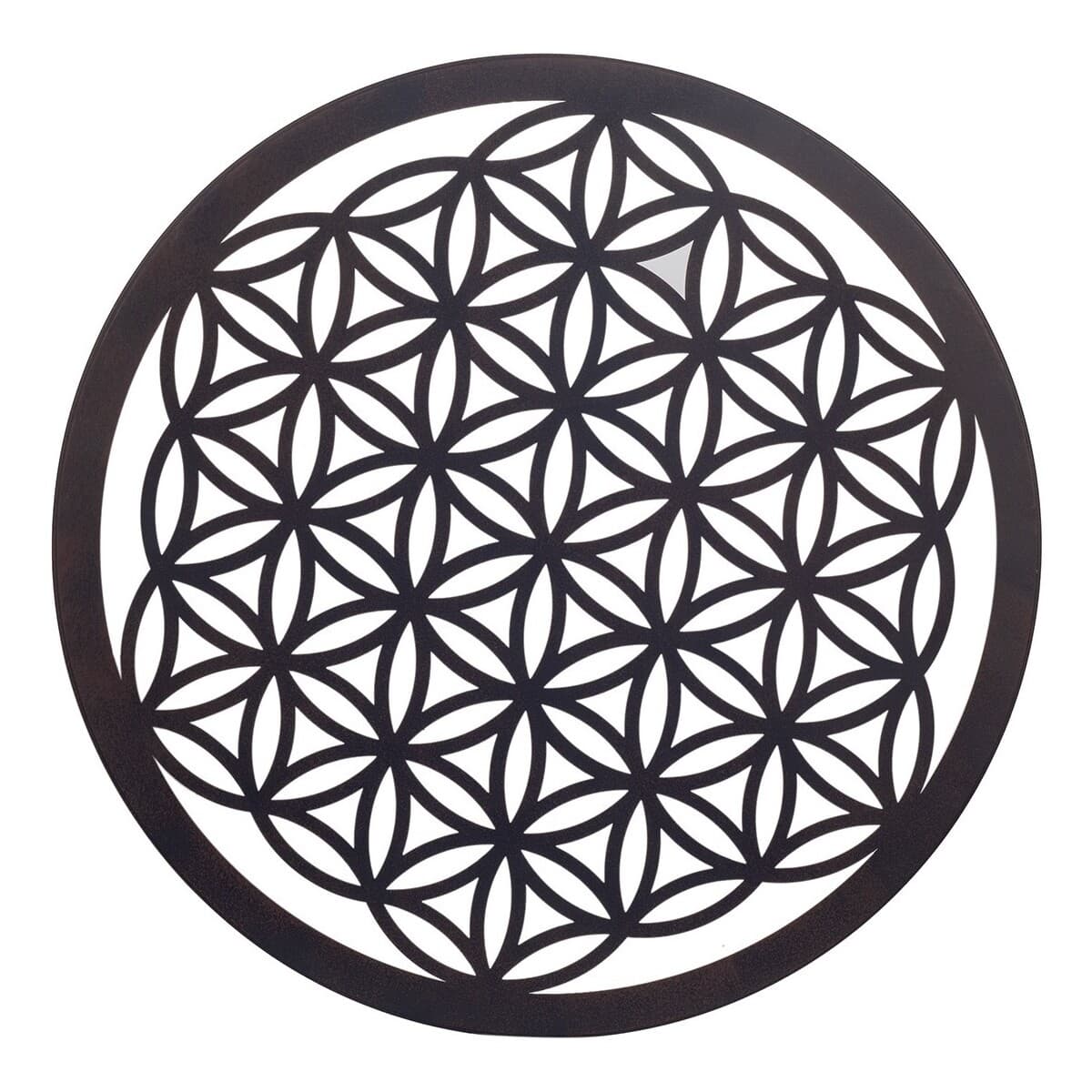 Signes Grimalt Primární Černá