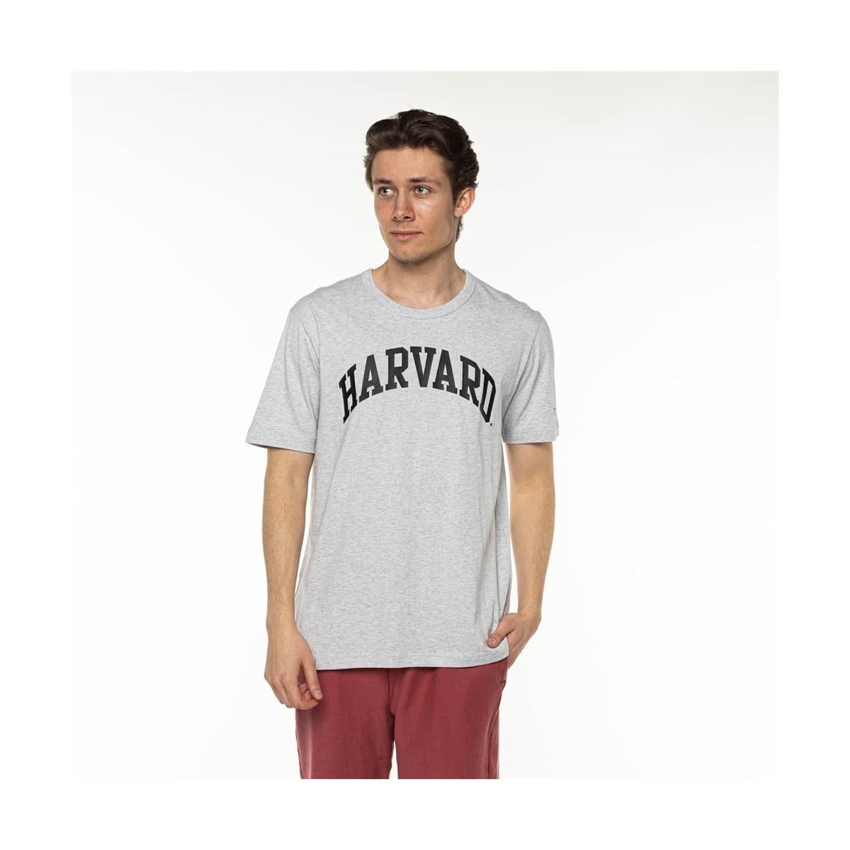 Champion Harvard Bílá