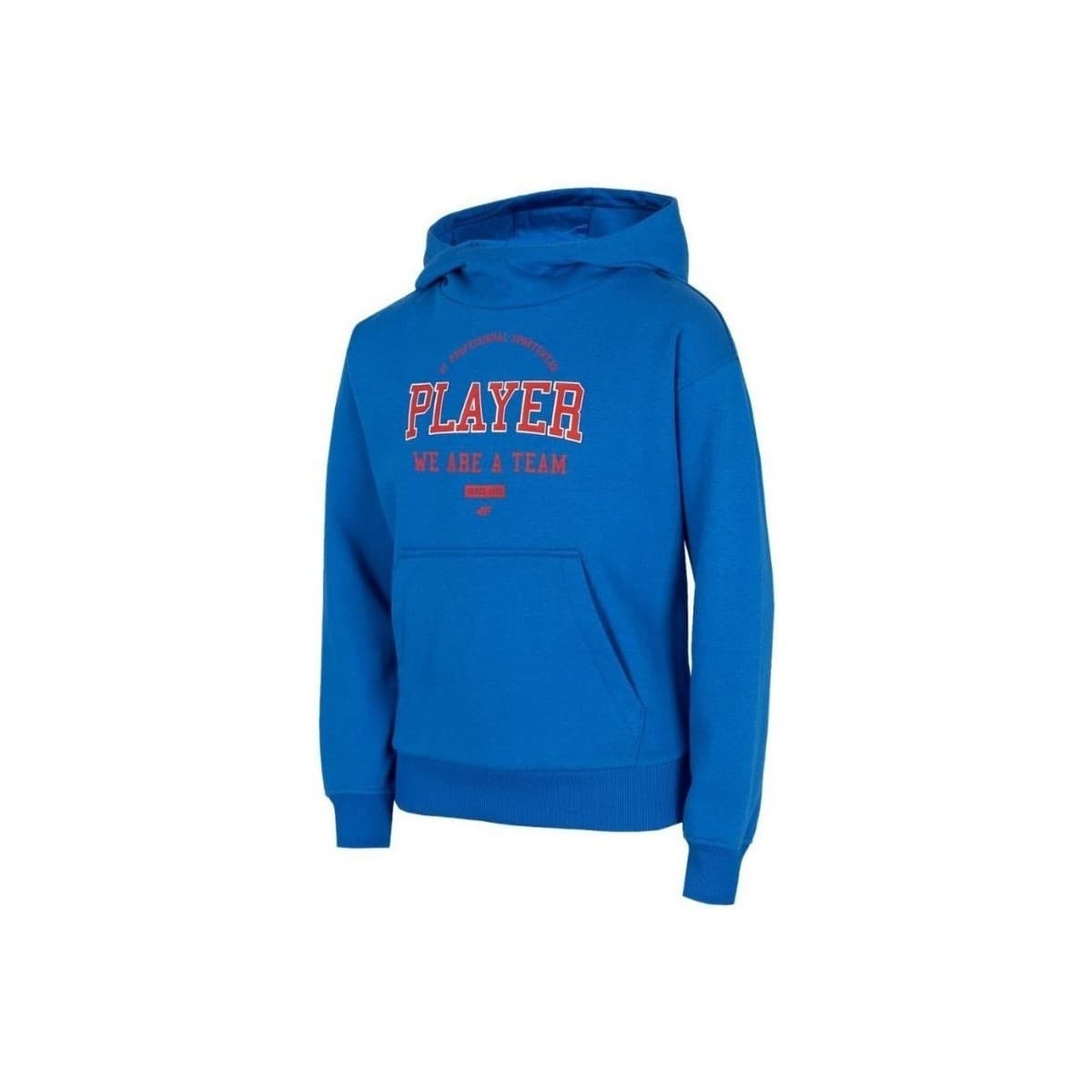 4F HJZ22JBLM00636S Modrá