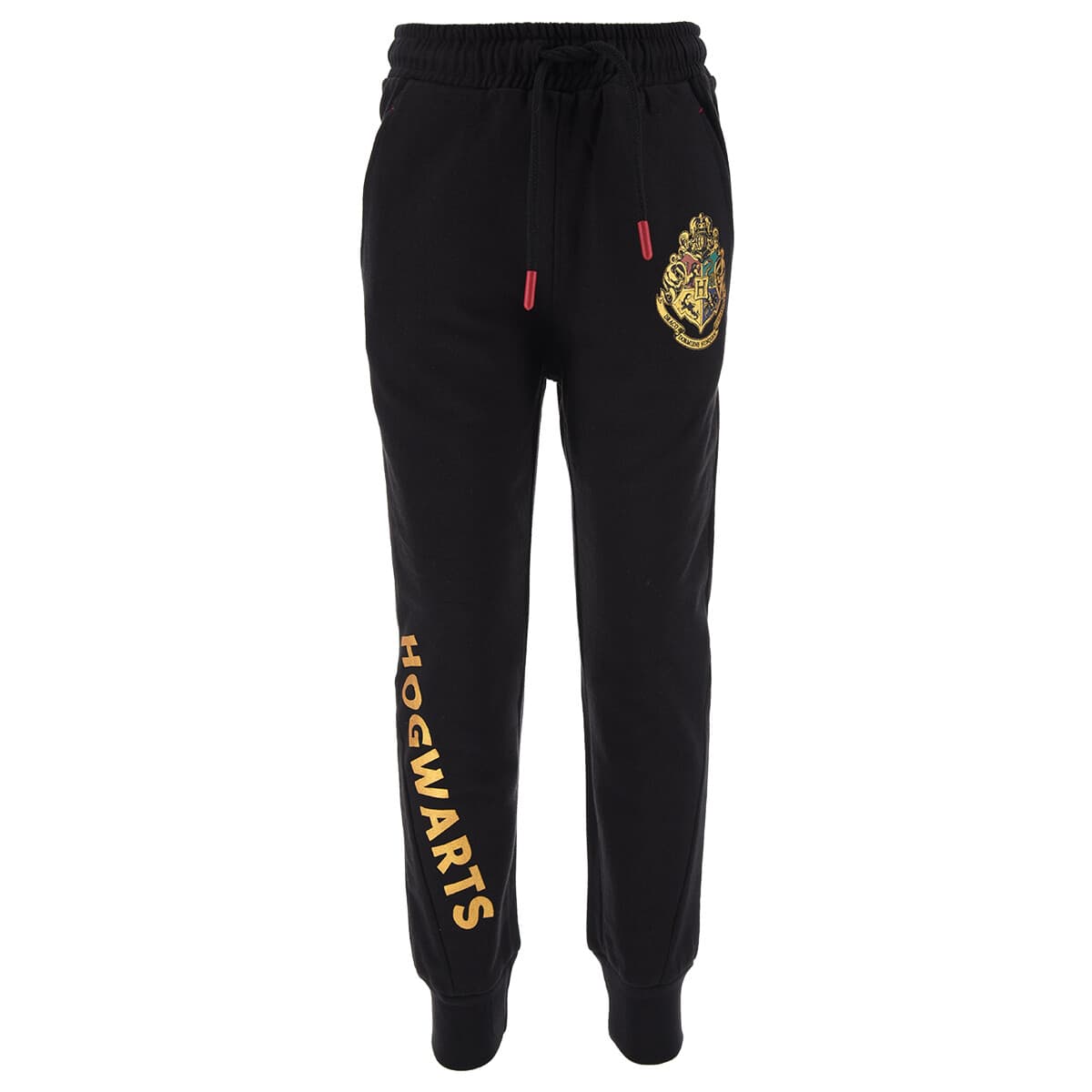TEAM HEROES JOGGING HARRY POTTER Černá
