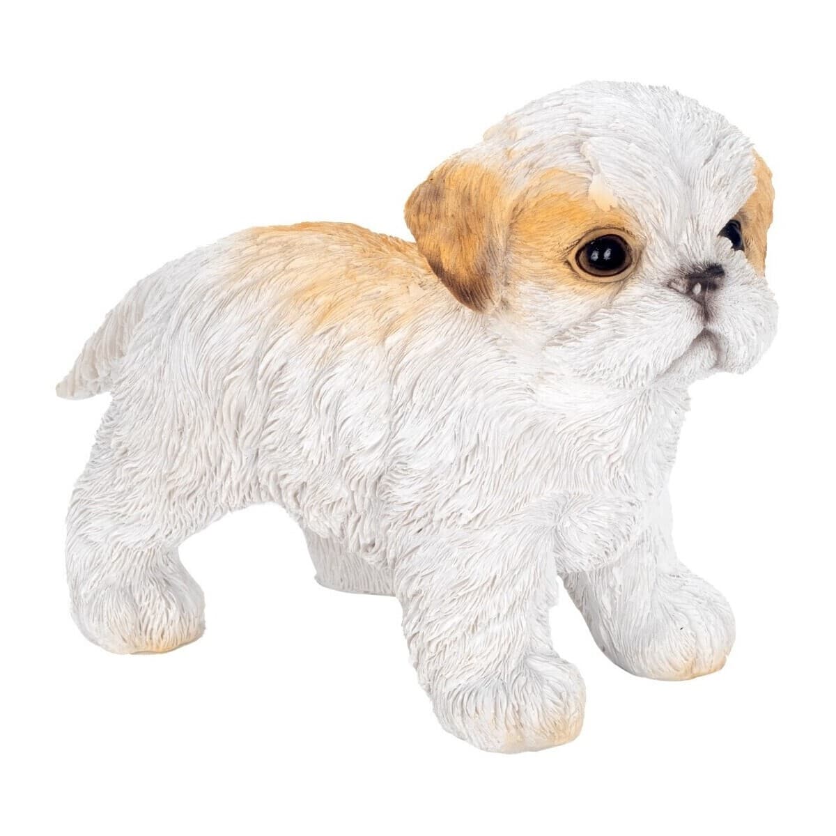 Signes Grimalt Pes Bílá