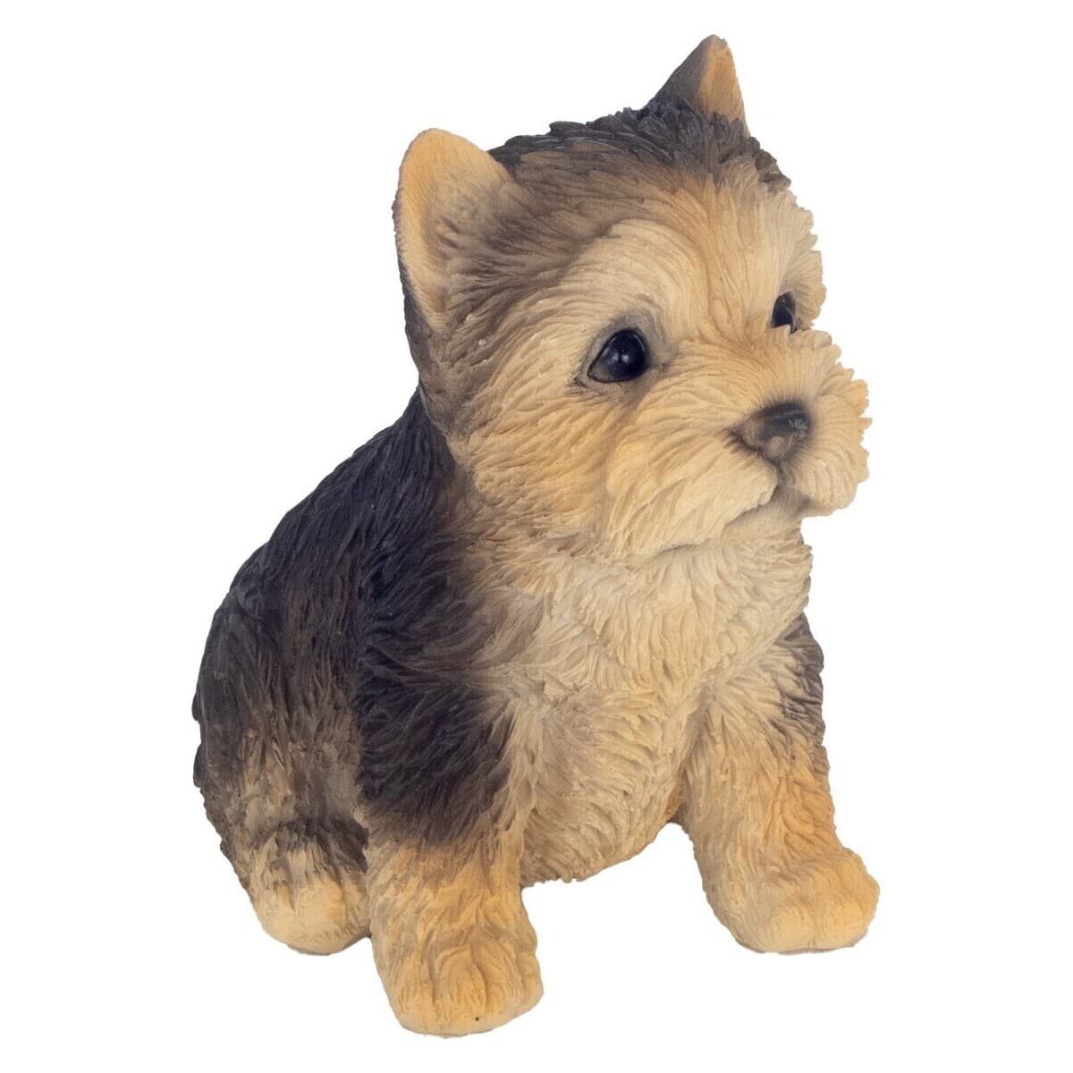 Signes Grimalt Pes Hnědá