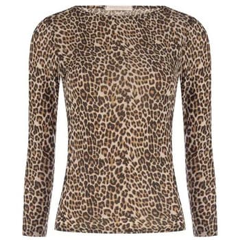 Rinascimento CFC0127388003 ruznobarevne