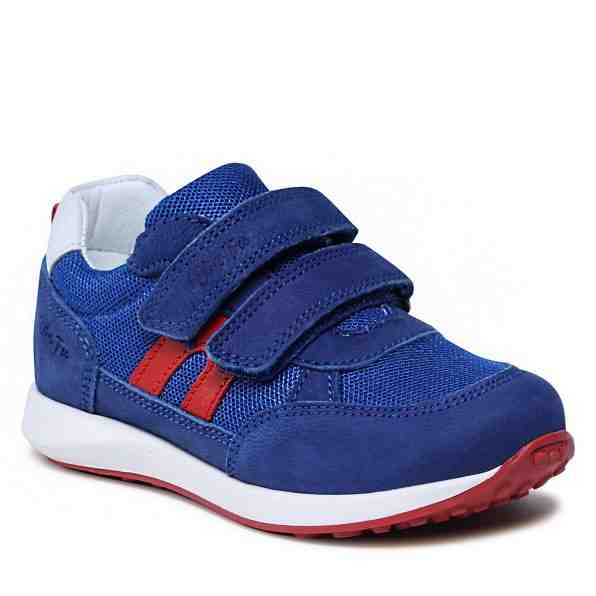 Olive Tree CI12-3077-04