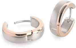 Boccia Titanium Titanové elegantní náušnice 0539-16 + 2 měsíce na vrácení zboží