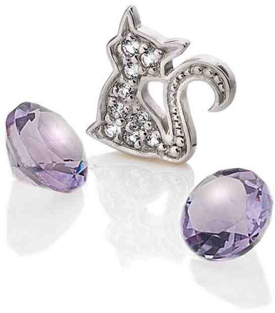 Hot Diamonds Element Kočka s ametysty Anais EX218 + 2 měsíce na vrácení zboží