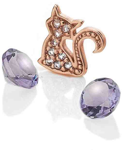 Hot Diamonds Element Kočka s ametysty Anais EX219 + 2 měsíce na vrácení zboží