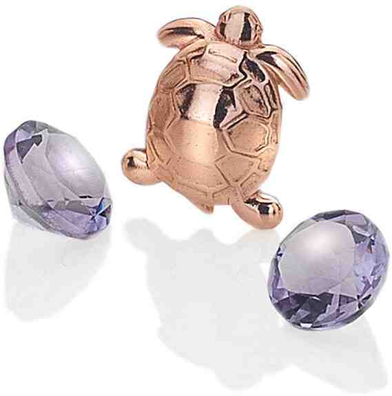 Hot Diamonds Element Želvička s ametysty Anais EX105 + 2 měsíce na vrácení zboží