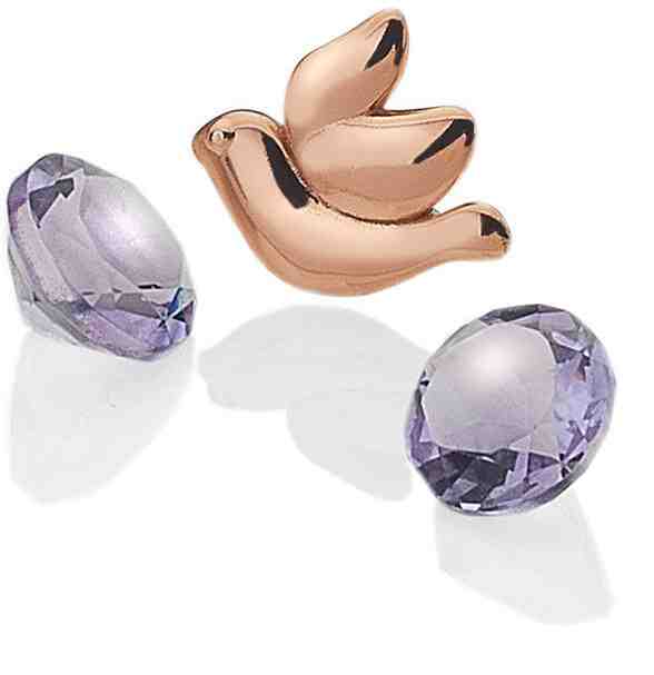 Hot Diamonds Element Holubice s ametysty Anais EX103 + 2 měsíce na vrácení zboží