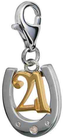 Hot Diamonds Přívěsek 21 s podkovou a diamantem Love Luck Happiness DT045 + 2 měsíce na vrácení zboží