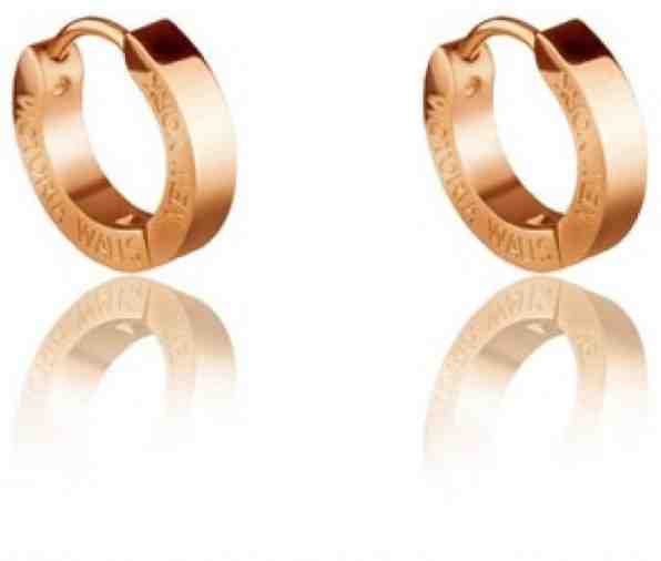 Victoria Walls Pozlacené náušnice kruhy VE1048G + 2 měsíce na vrácení zboží