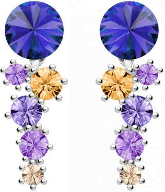 Preciosa Stříbrné náušnice Aronie 6139 64 + 2 měsíce na vrácení zboží