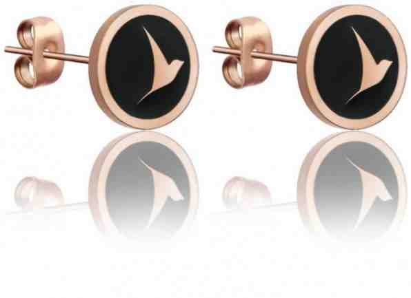 Emily Westwood Ocelové náušnice pecky WE1028R + 2 měsíce na vrácení zboží