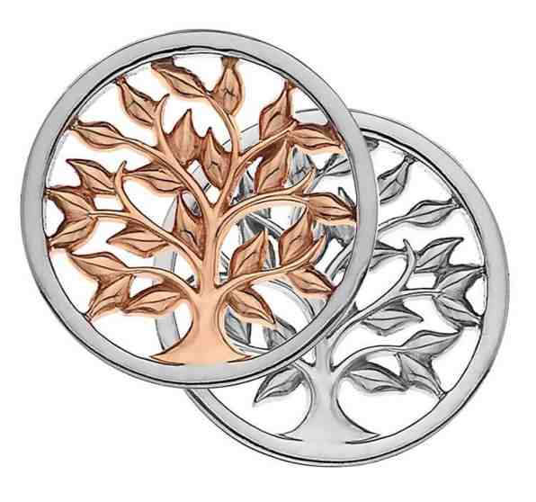 Hot Diamonds Bicolor přívěsek Emozioni Balance and Harmony RG Coin EC478-EC479 33 mm + 2 měsíce na vrácení zboží