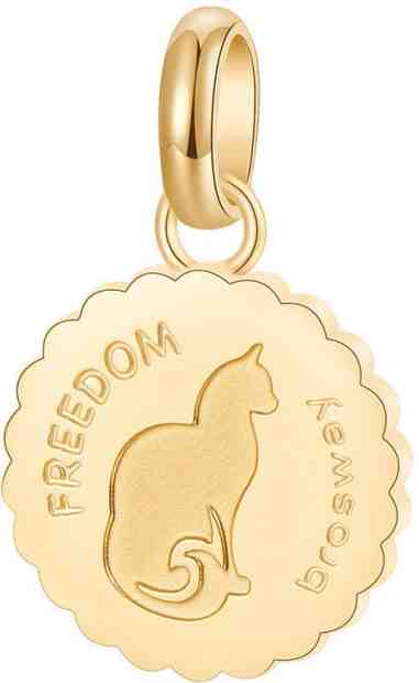 Brosway Ocelový přívěsek Très Jolie BTJM309 + 2 měsíce na vrácení zboží