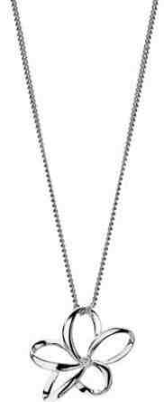 Hot Diamonds Náhrdelník Paradise Open Petal DP230 (řetízek, přívěsek) + 2 měsíce na vrácení zboží