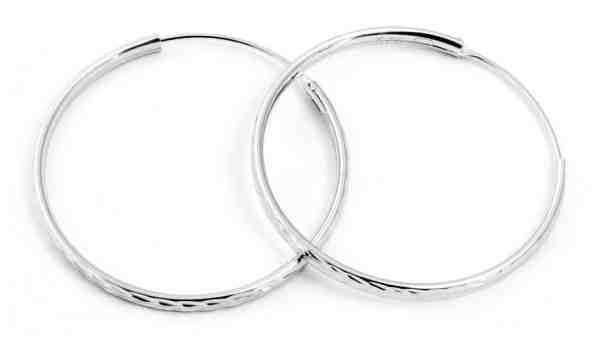 Beneto Třpytivé stříbrné kruhové náušnice AGUC2098/30/N + 2 měsíce na vrácení zboží