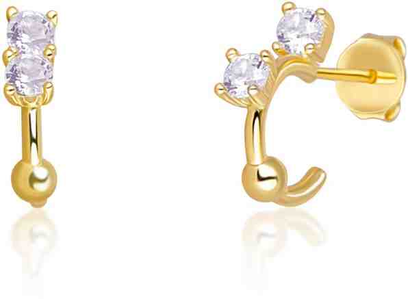 JVD Pozlacené náušnice kruhy ze stříbra s lehce fialovými zirkony SVLE0701XH2GF00 + 2 měsíce na vrácení zboží