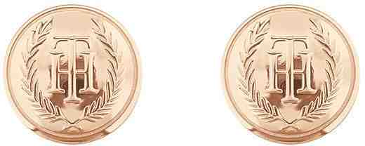 Tommy Hilfiger Elegantní bronzové náušnice pecky TH2780382 + 2 měsíce na vrácení zboží