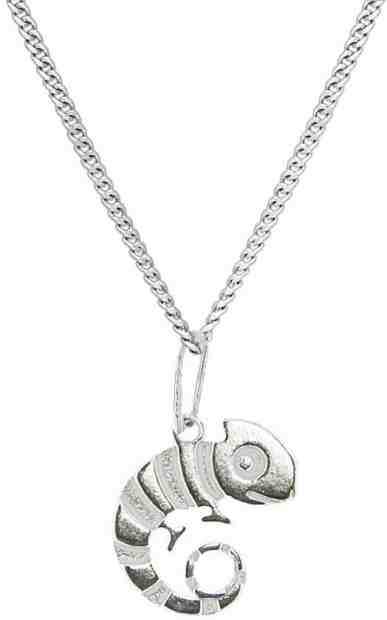 Praqia Dětský stříbrný náhrdelník Chameleon Oskar KO6151_CU025_40_A_RH (řetízek, přívěsek) + 2 měsíce na vrácení zboží