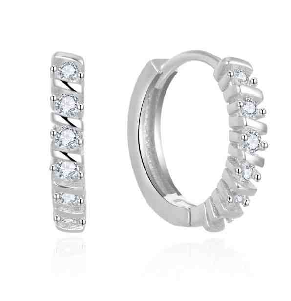 Beneto Elegantní kruhové náušnice se zirkony AGUC2680 + 2 měsíce na vrácení zboží