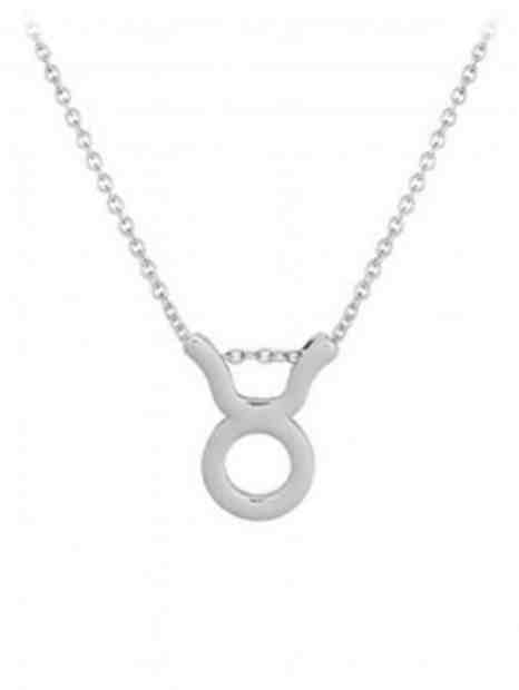 JVD Stříbrný náhrdelník s přívěskem Býk SVLN0195XH200BY + 2 měsíce na vrácení zboží