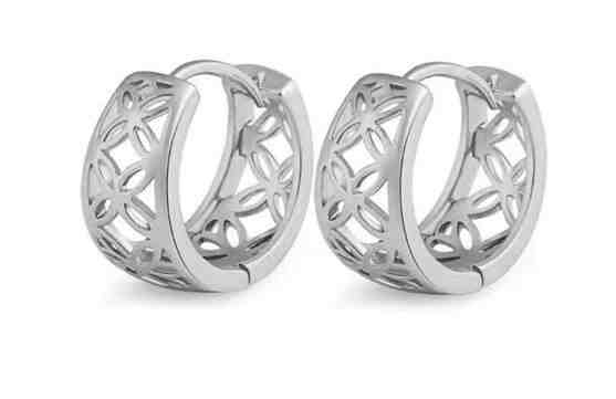 JVD Něžné kruhové náušnice SVLE1063XH20000 + 2 měsíce na vrácení zboží