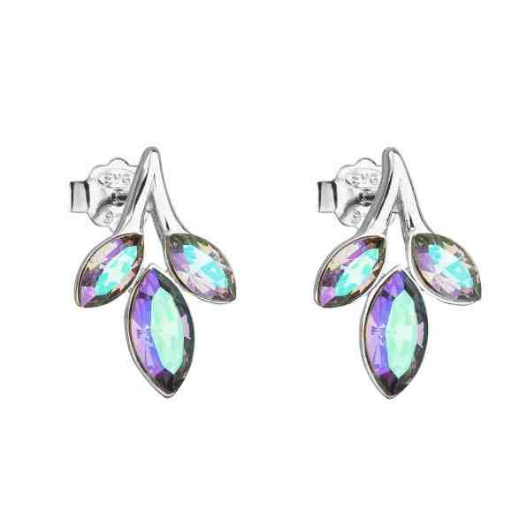 Evolution Group Půvabné náušnice ze stříbra Paradise Shine 31266.5 + 2 měsíce na vrácení zboží