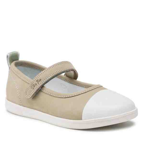 Olive Tree CI12-2635-03