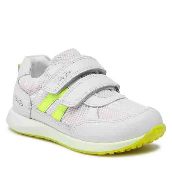 Olive Tree CI12-3077-04