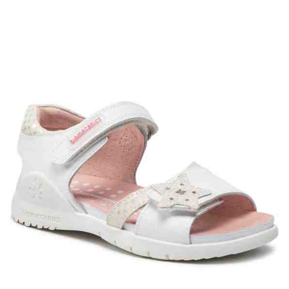 Biomecanics 222204-B