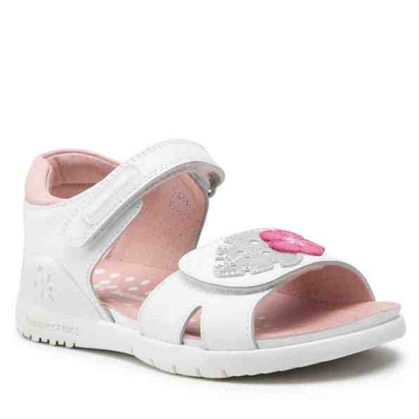 Biomecanics 222207-B D