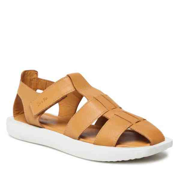 Olive Tree CI12-3128-01