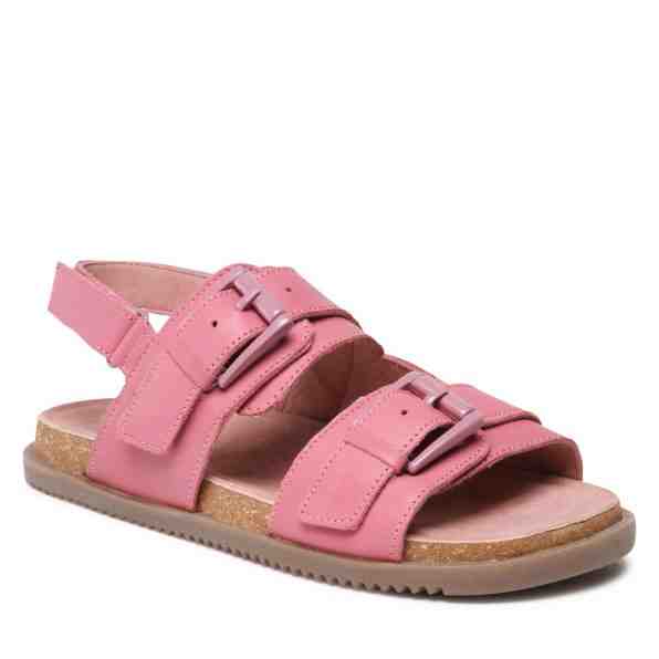 Olive Tree CI12-PORTA-03