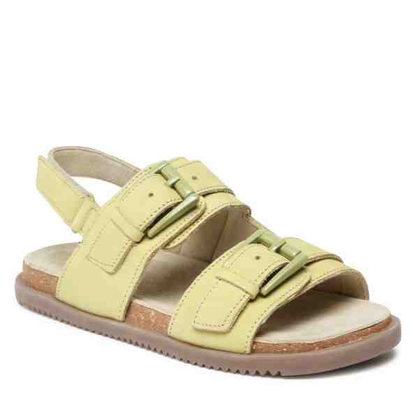 Olive Tree CI12-PORTA-03