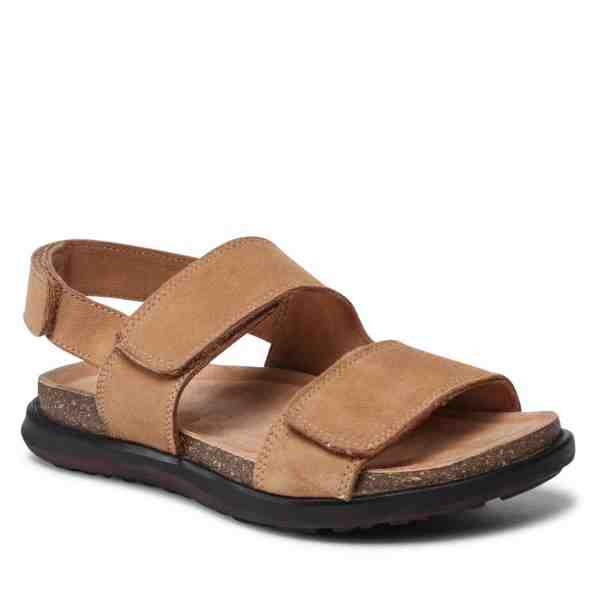 Olive Tree CI12-ACTI-02