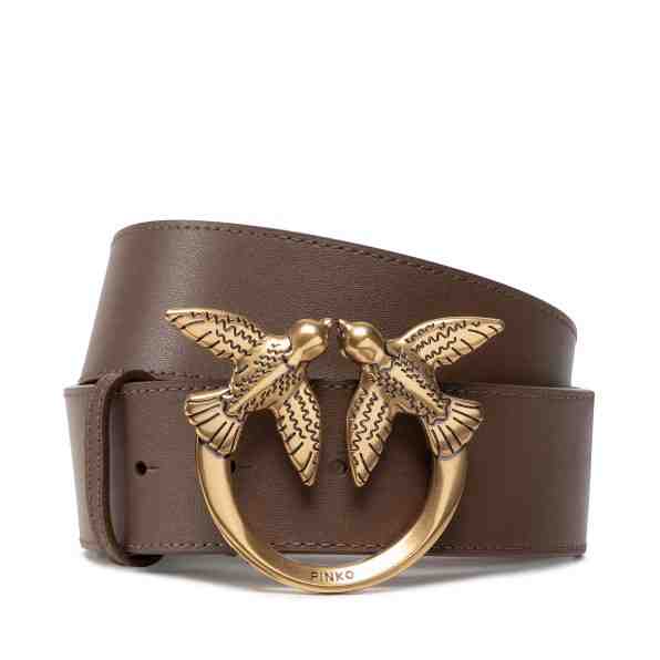 Pinko Minimus H4 Belt AI 22-23 PLT01 1H2141 Y5H7