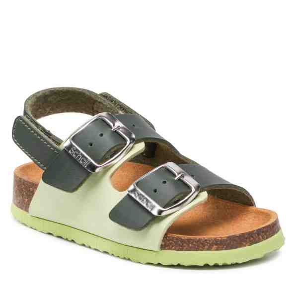 Scholl Turtle F29819 1043 240