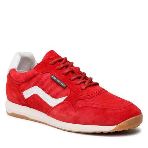 Cycleur De Luxe Espoir CDLM221130