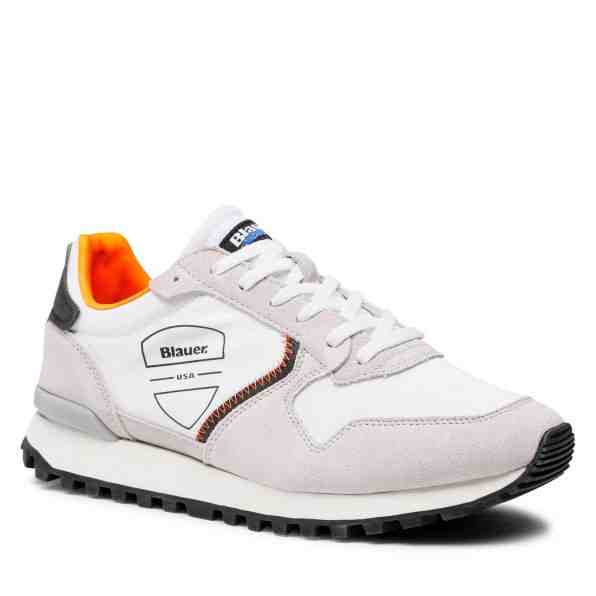 Blauer S2DIXON01/NYS